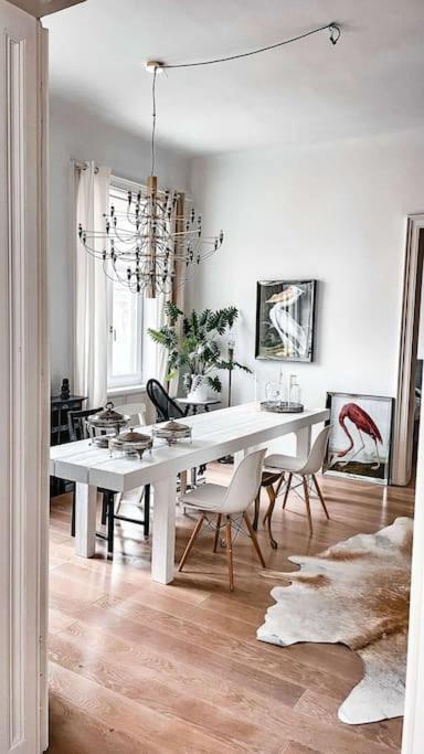 Apartment Designer Flat, Fully Furnished & Sunny
