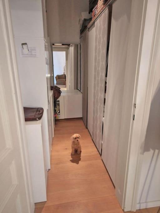 Designer Flat, Fully Furnished & Sunny *