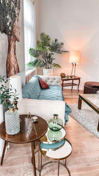 Apartment Designer Flat, Fully Furnished & Sunny