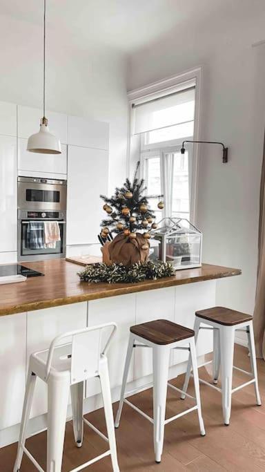 Apartment Designer Flat, Fully Furnished & Sunny
